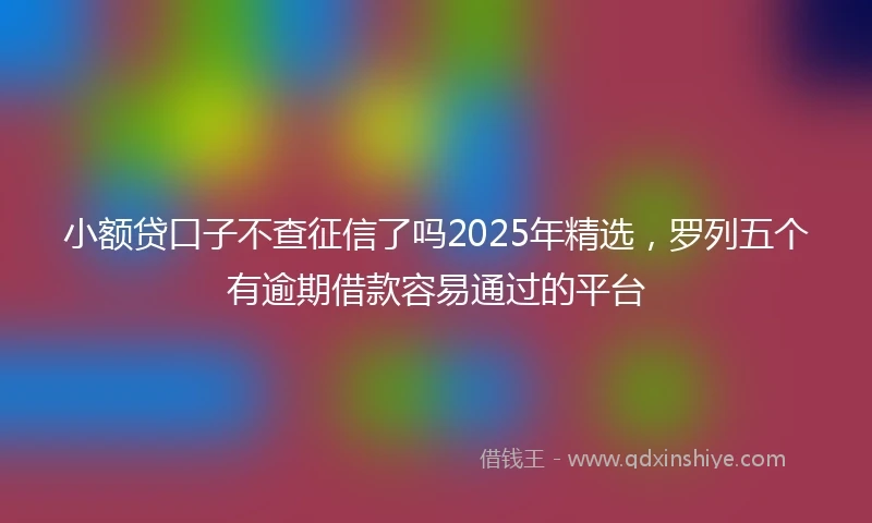 小额贷口子不查征信了吗2025年精选，罗列五个有逾期借款容易通过的平台