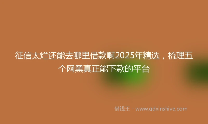 征信太烂还能去哪里借款啊2025年精选，梳理五个网黑真正能下款的平台
