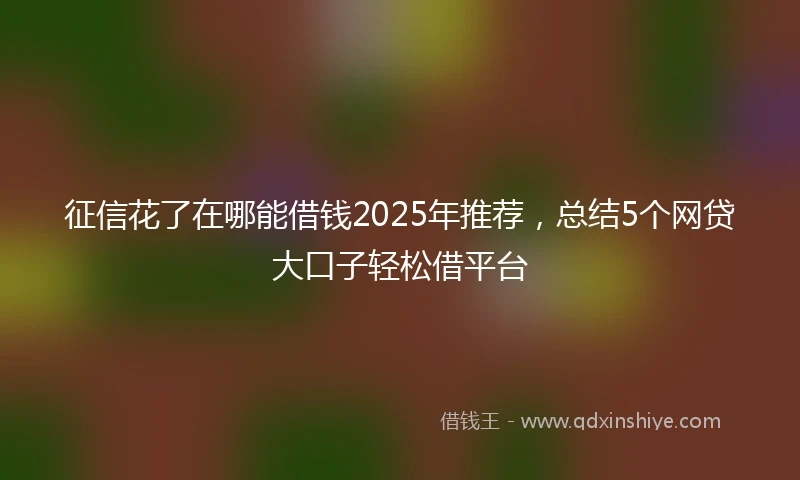征信花了在哪能借钱2025年推荐，总结5个网贷大口子轻松借平台