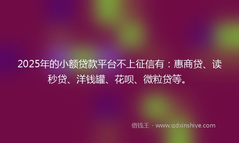 2025年的小额贷款平台不上征信有：惠商贷、读秒贷、洋钱罐、花呗、微粒贷等。