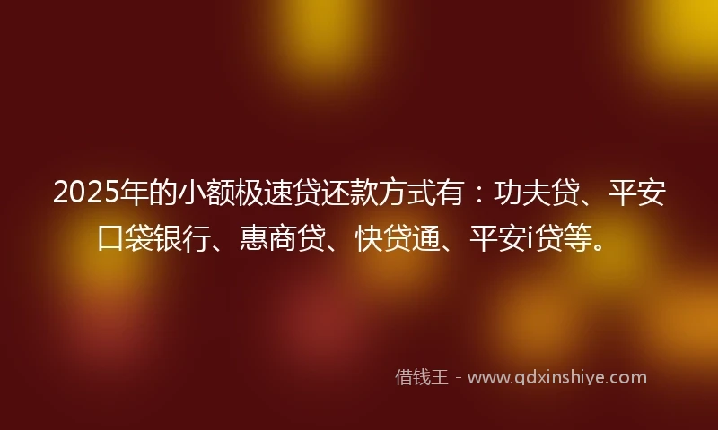 2025年的小额极速贷还款方式有：功夫贷、平安口袋银行、惠商贷、快贷通、平安i贷等。
