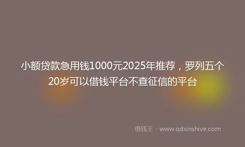 小额贷款急用钱1000元2025年推荐，罗列五个20岁可以借钱平台不查征信的平台
