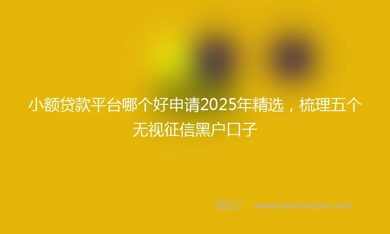 小额贷款平台哪个好申请2025年精选，梳理五个无视征信黑户口子