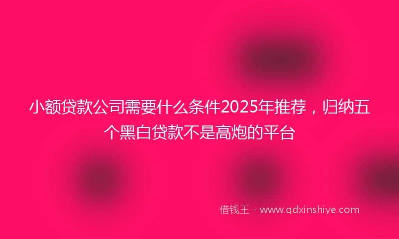 小额贷款公司需要什么条件2025年推荐，归纳五个黑白贷款不是高炮的平台