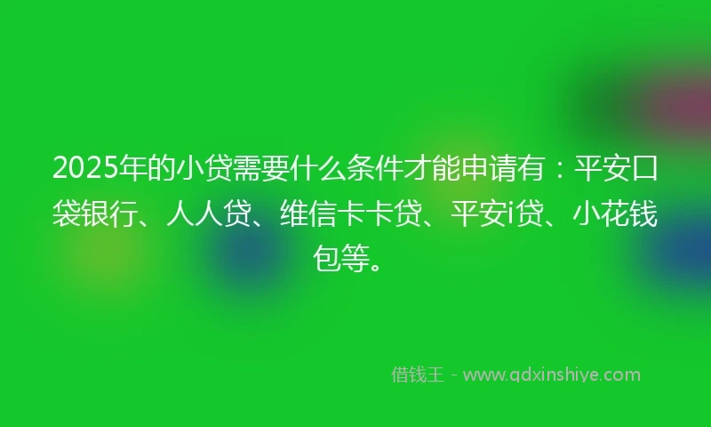 2025年的小贷需要什么条件才能申请有：平安口袋银行、人人贷、维信卡卡贷、平安i贷、小花钱包等。