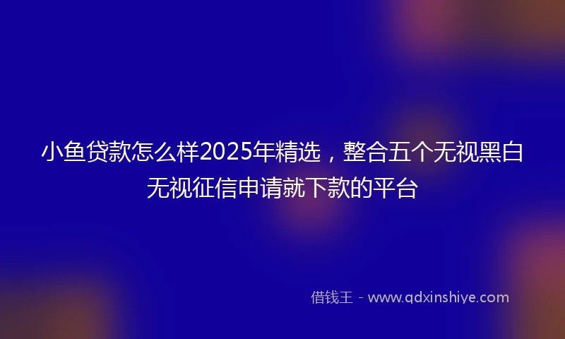 小鱼贷款怎么样2025年精选，整合五个无视黑白无视征信申请就下款的平台