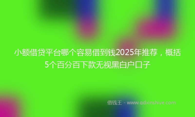 小额借贷平台哪个容易借到钱2025年推荐，概括5个百分百下款无视黑白户口子