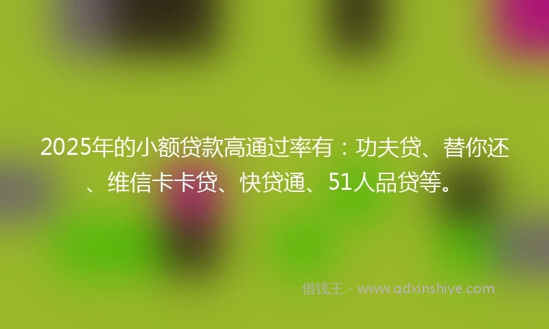 2025年的小额贷款高通过率有：功夫贷、替你还、维信卡卡贷、快贷通、51人品贷等。