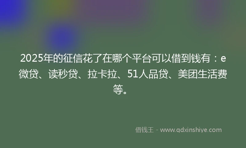 2025年的征信花了在哪个平台可以借到钱有：e微贷、读秒贷、拉卡拉、51人品贷、美团生活费等。