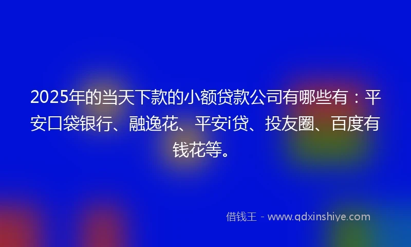 2025年的当天下款的小额贷款公司有哪些有：平安口袋银行、融逸花、平安i贷、投友圈、百度有钱花等。