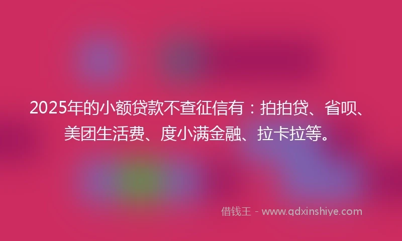 2025年的小额贷款不查征信有：拍拍贷、省呗、美团生活费、度小满金融、拉卡拉等。
