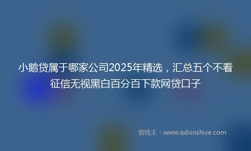 小鹅贷属于哪家公司2025年精选，汇总五个不看征信无视黑白百分百下款网贷口子