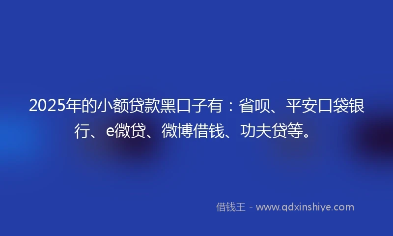 2025年的小额贷款黑口子有：省呗、平安口袋银行、e微贷、微博借钱、功夫贷等。