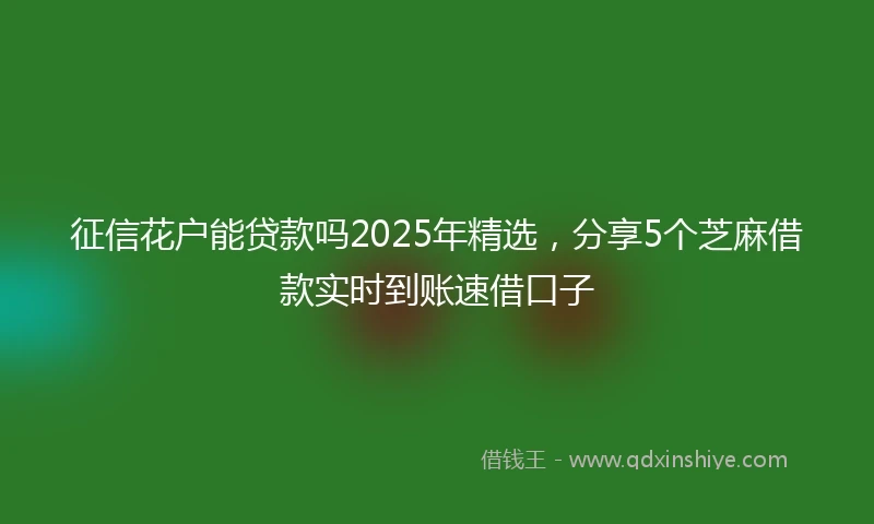 征信花户能贷款吗2025年精选，分享5个芝麻借款实时到账速借口子