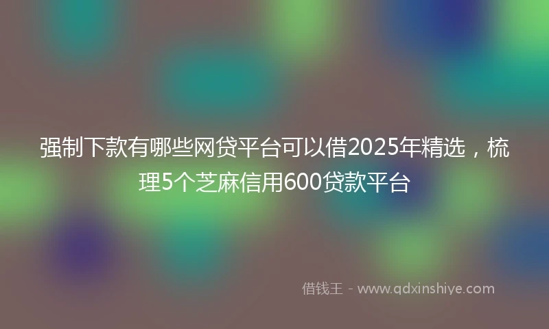 强制下款有哪些网贷平台可以借2025年精选，梳理5个芝麻信用600贷款平台