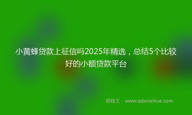 小黄蜂贷款上征信吗2025年精选，总结5个比较好的小额贷款平台