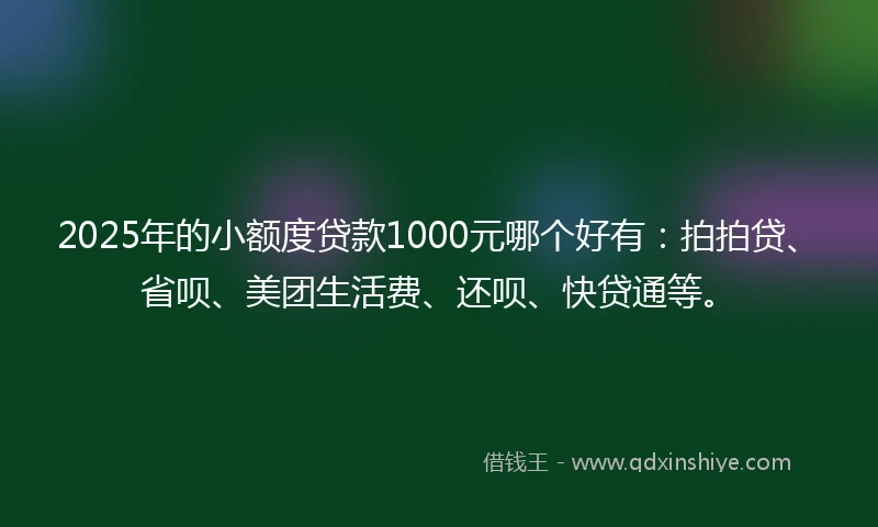 2025年的小额度贷款1000元哪个好有：拍拍贷、省呗、美团生活费、还呗、快贷通等。