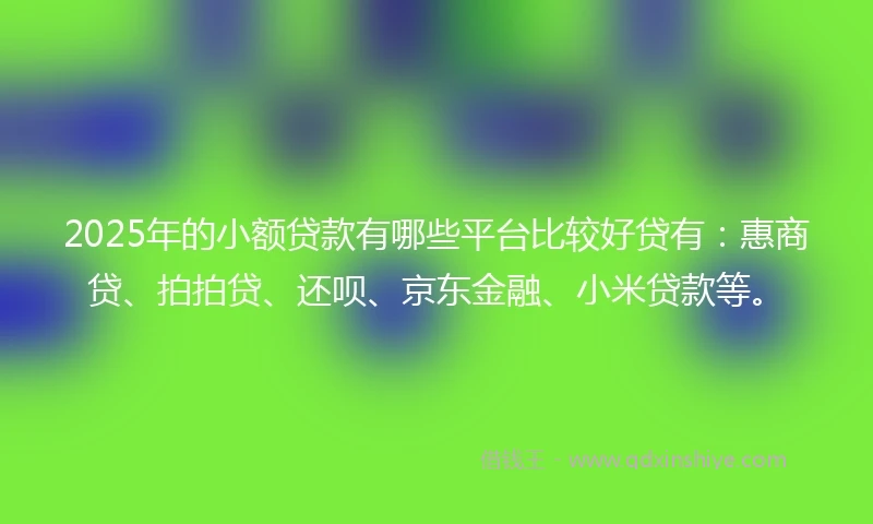 2025年的小额贷款有哪些平台比较好贷有：惠商贷、拍拍贷、还呗、京东金融、小米贷款等。