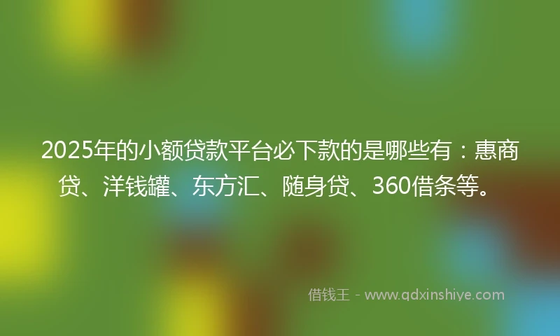 2025年的小额贷款平台必下款的是哪些有：惠商贷、洋钱罐、东方汇、随身贷、360借条等。