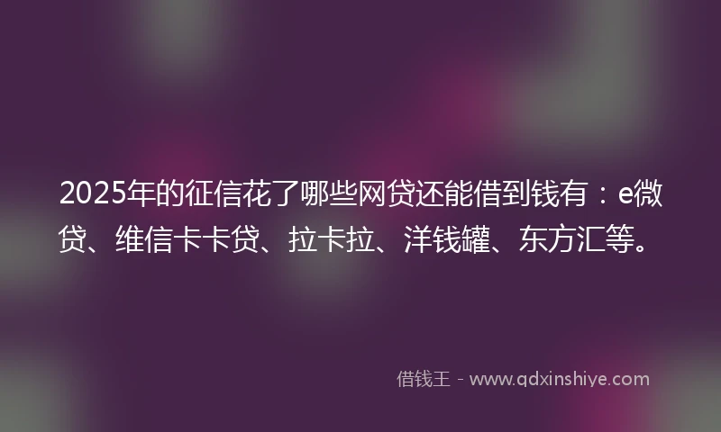 2025年的征信花了哪些网贷还能借到钱有：e微贷、维信卡卡贷、拉卡拉、洋钱罐、东方汇等。