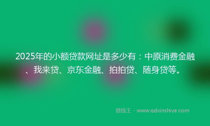2025年的小额贷款网址是多少有：中原消费金融、我来贷、京东金融、拍拍贷、随身贷等。