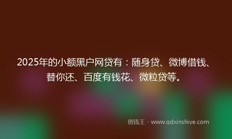 2025年的小额黑户网贷有:随身贷、微博借钱、替你还、百度有钱花、微粒贷等。