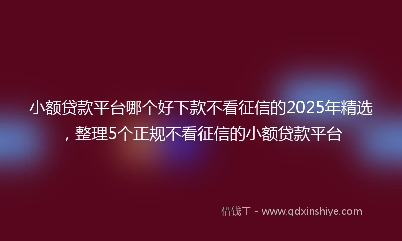 小额贷款平台哪个好下款不看征信的2025年精选，整理5个正规不看征信的小额贷款平台