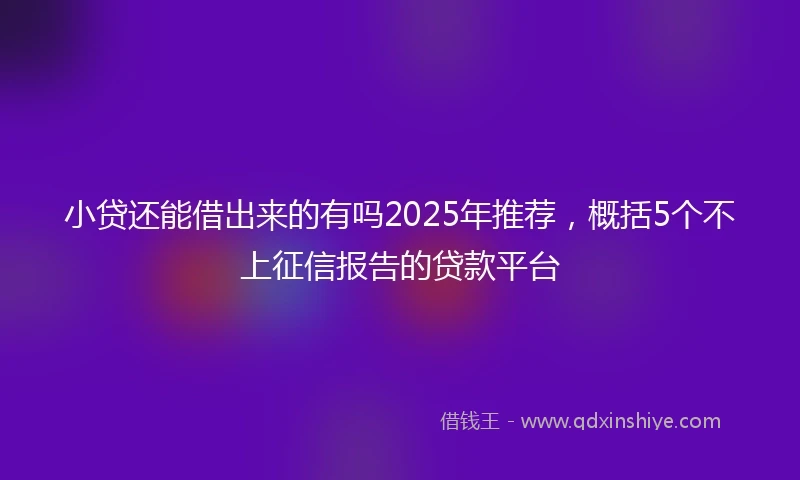 小贷还能借出来的有吗2025年推荐，概括5个不上征信报告的贷款平台