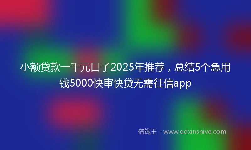 小额贷款一千元口子2025年推荐，总结5个急用钱5000快审快贷无需征信app