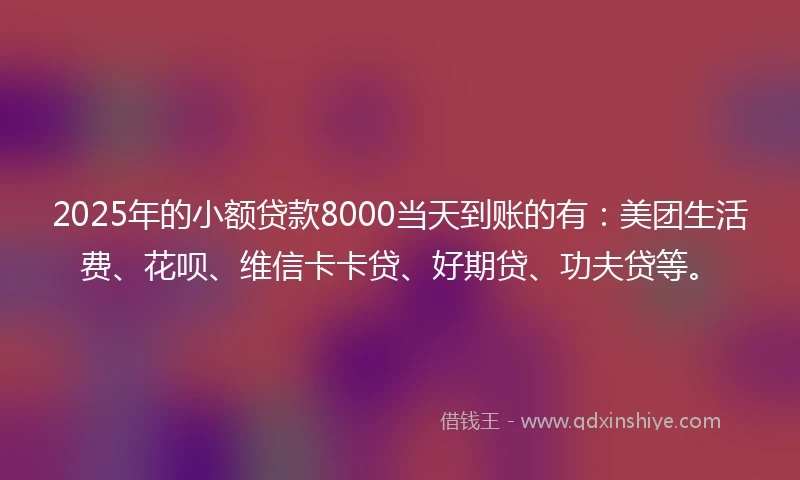2025年的小额贷款8000当天到账的有：美团生活费、花呗、维信卡卡贷、好期贷、功夫贷等。