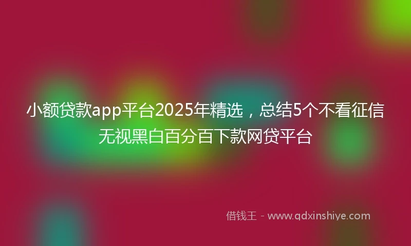 小额贷款app平台2025年精选，总结5个不看征信无视黑白百分百下款网贷平台