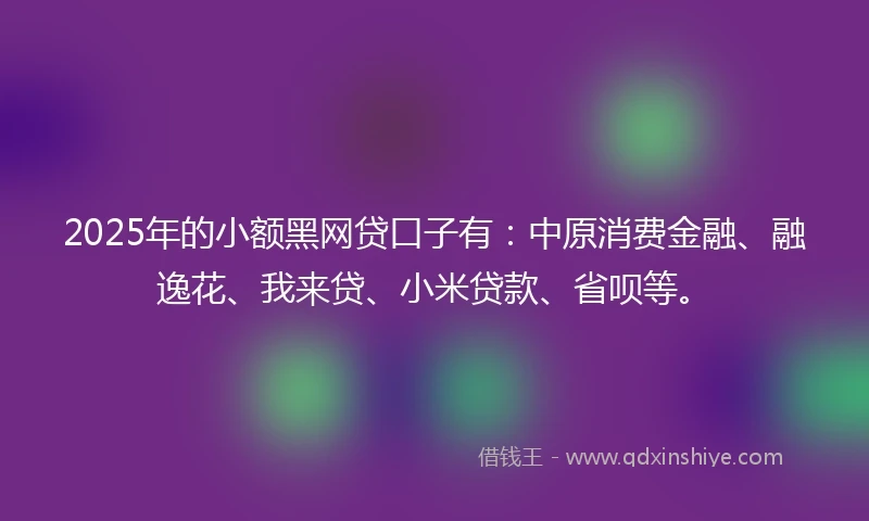 2025年的小额黑网贷口子有：中原消费金融、融逸花、我来贷、小米贷款、省呗等。