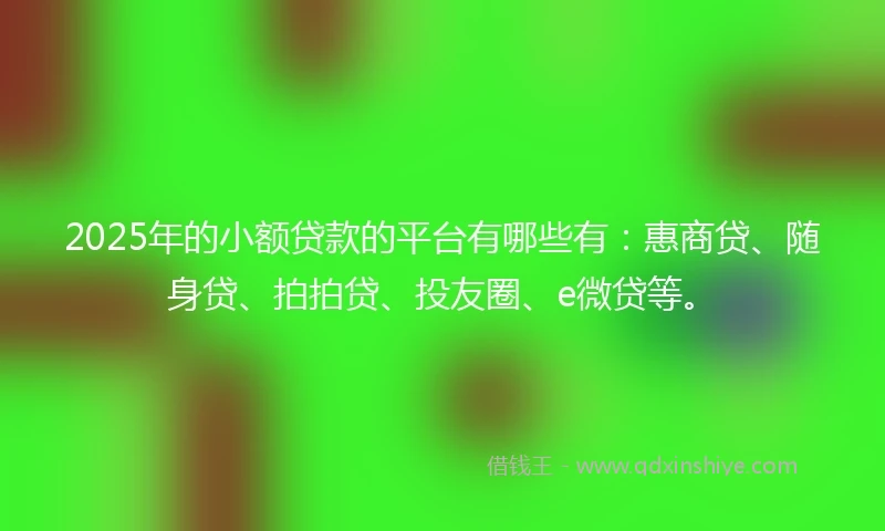 2025年的小额贷款的平台有哪些有：惠商贷、随身贷、拍拍贷、投友圈、e微贷等。