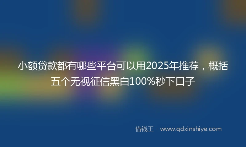 小额贷款都有哪些平台可以用2025年推荐，概括五个无视征信黑白100%秒下口子