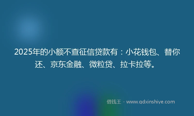 2025年的小额不查征信贷款有：小花钱包、替你还、京东金融、微粒贷、拉卡拉等。