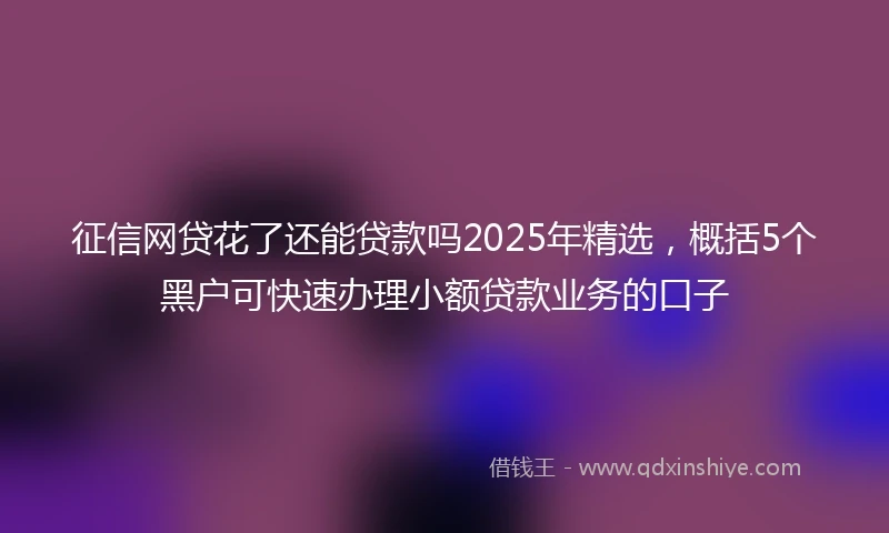征信网贷花了还能贷款吗2025年精选，概括5个黑户可快速办理小额贷款业务的口子