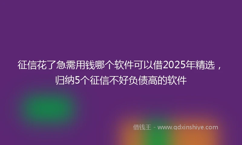 征信花了急需用钱哪个软件可以借2025年精选，归纳5个征信不好负债高的软件
