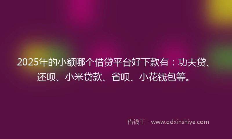 2025年的小额哪个借贷平台好下款有：功夫贷、还呗、小米贷款、省呗、小花钱包等。