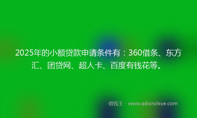 2025年的小额贷款申请条件有:360借条、东方汇、团贷网、超人卡、百度有钱花等。