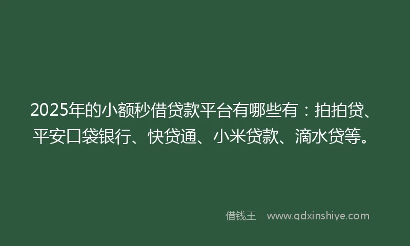 2025年的小额秒借贷款平台有哪些有：拍拍贷、平安口袋银行、快贷通、小米贷款、滴水贷等。