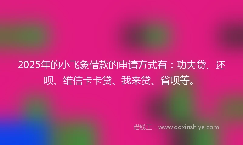 2025年的小飞象借款的申请方式有：功夫贷、还呗、维信卡卡贷、我来贷、省呗等。