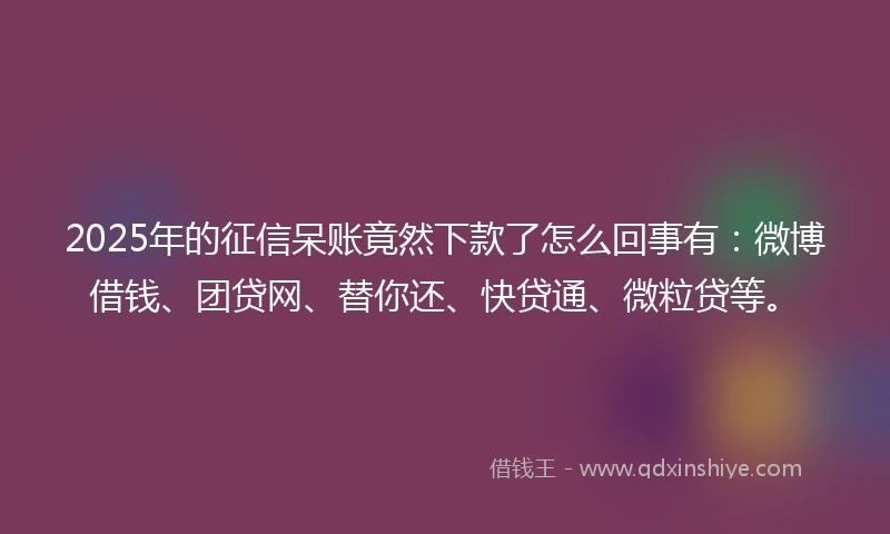 2025年的征信呆账竟然下款了怎么回事有：微博借钱、团贷网、替你还、快贷通、微粒贷等。
