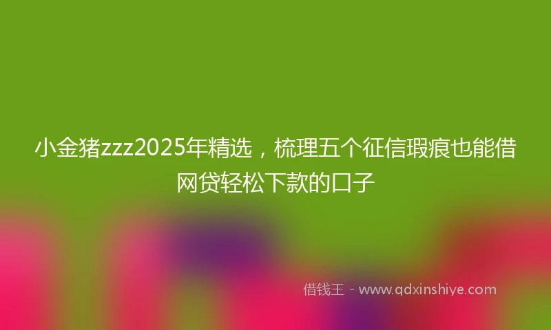 小金猪zzz2025年精选，梳理五个征信瑕疵也能借网贷轻松下款的口子