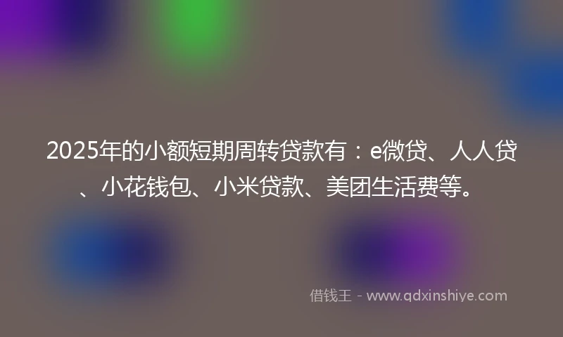 2025年的小额短期周转贷款有：e微贷、人人贷、小花钱包、小米贷款、美团生活费等。