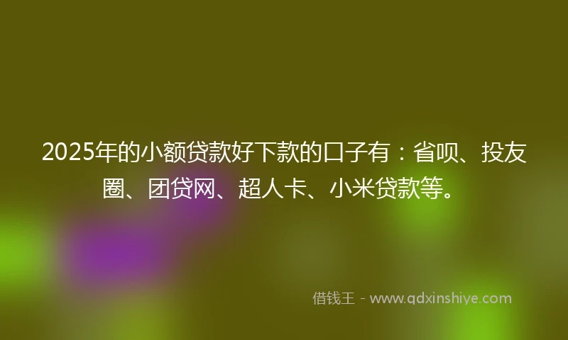 2025年的小额贷款好下款的口子有：省呗、投友圈、团贷网、超人卡、小米贷款等。