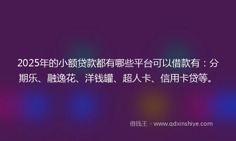 2025年的小额贷款都有哪些平台可以借款有：分期乐、融逸花、洋钱罐、超人卡、信用卡贷等。