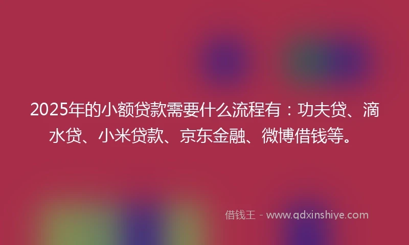 2025年的小额贷款需要什么流程有：功夫贷、滴水贷、小米贷款、京东金融、微博借钱等。