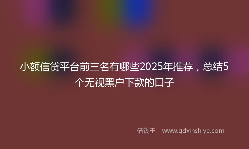 小额信贷平台前三名有哪些2025年推荐，总结5个无视黑户下款的口子