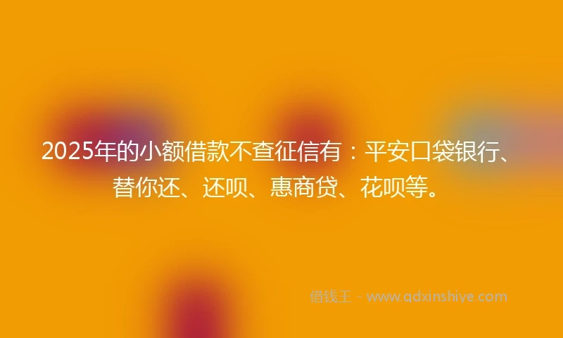 2025年的小额借款不查征信有：平安口袋银行、替你还、还呗、惠商贷、花呗等。