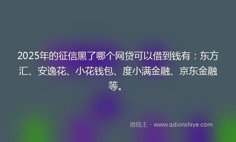 2025年的征信黑了哪个网贷可以借到钱有：东方汇、安逸花、小花钱包、度小满金融、京东金融等。